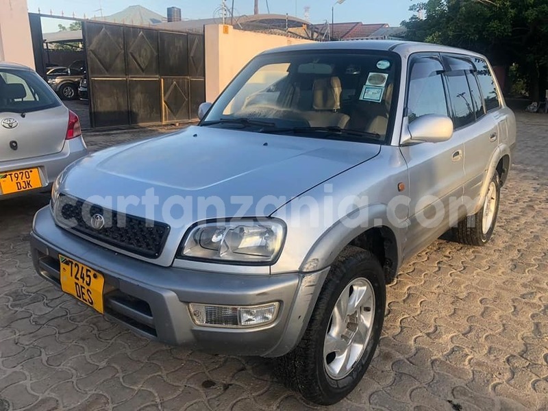 Big with watermark 49796407 2480036678692665 7388334550830546944 n