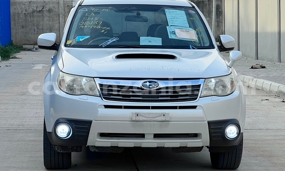 Nunua Imported Subaru Forester Nyeupe Gari ndani ya Dar es Salaam nchini Dar es Salaam Nunua Imported Subaru Forester Nyeupe Gari ndani ya Dar es Salaam nchini Dar es Salaam