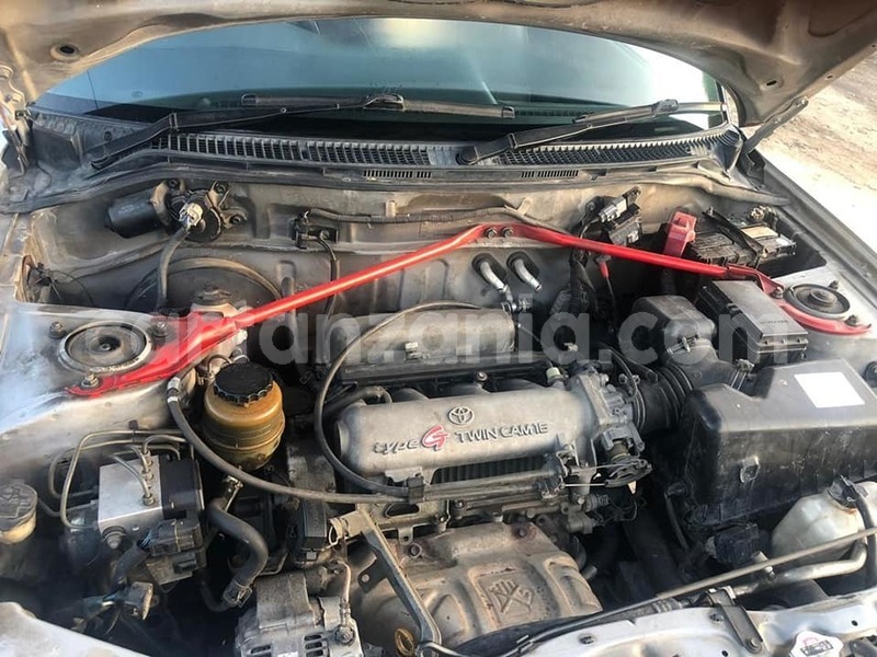 Big with watermark 50026285 2480036765359323 4882586218719608832 n