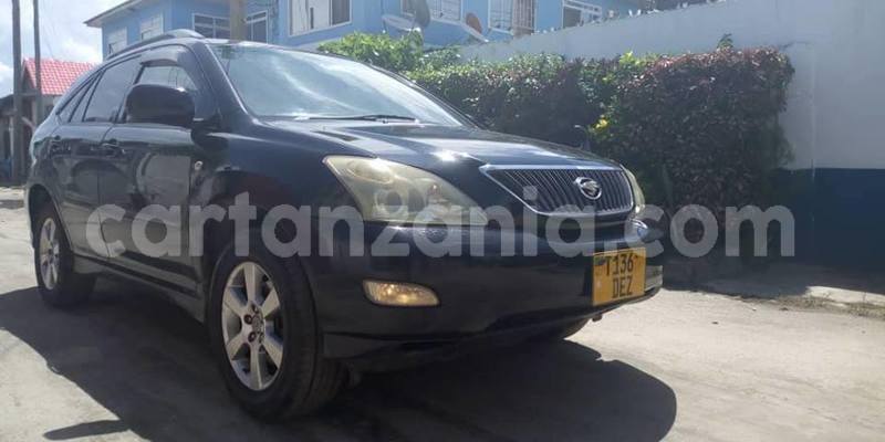 Big with watermark 49498872 2478415485521451 7761051967396249600 n