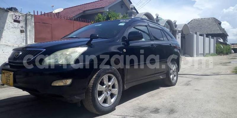 Big with watermark 49535864 2478415282188138 5763179828660404224 n