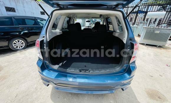 Buy Import Subaru Forester Blue Car in Dar es Salaam in Dar es Salaam Buy Import Subaru Forester Blue Car in Dar es Salaam in Dar es Salaam
