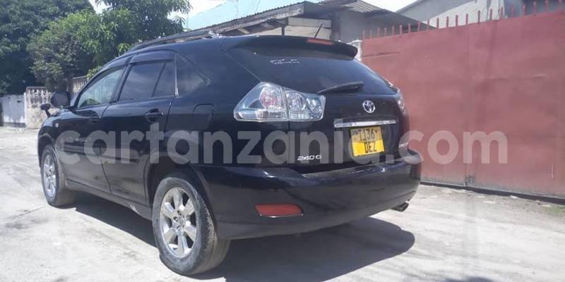 Big with watermark 49405641 2478415205521479 2979542164695941120 n