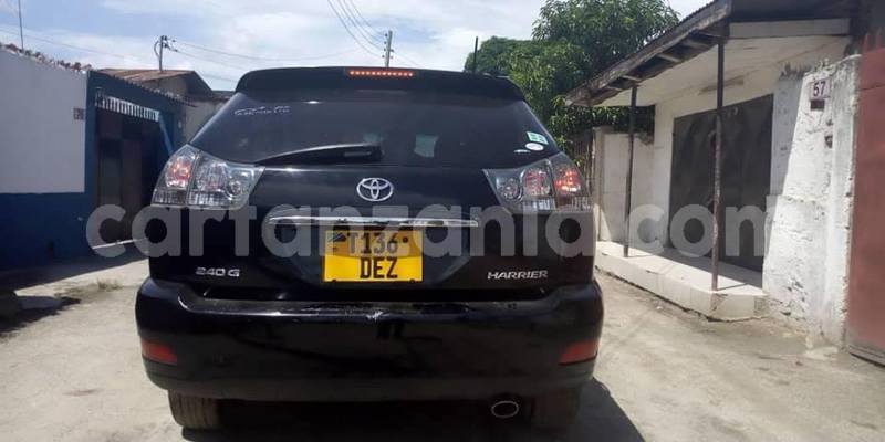 Big with watermark 49209937 2478415122188154 1804456713286320128 n