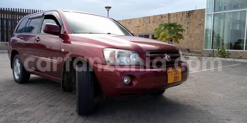 Big with watermark 49204873 2478408665522133 9106234470372999168 n