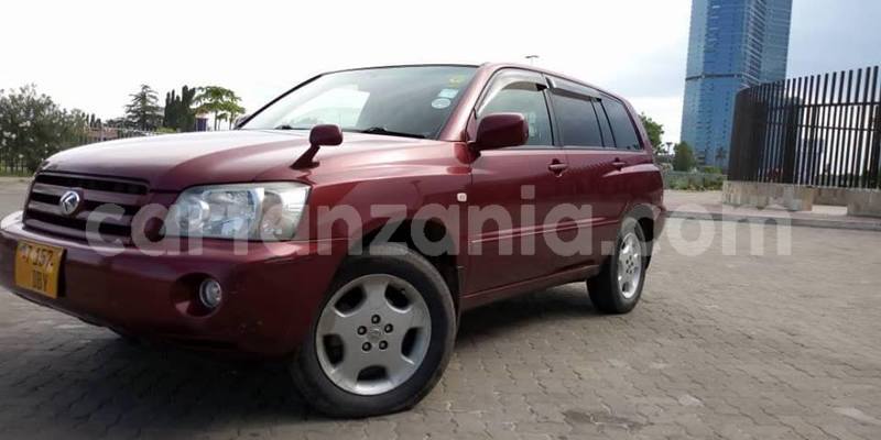 Big with watermark 49899317 2478408538855479 2957412676415782912 n