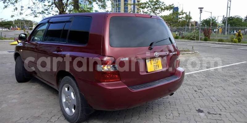 Big with watermark 49539519 2478408412188825 1680550617648463872 n