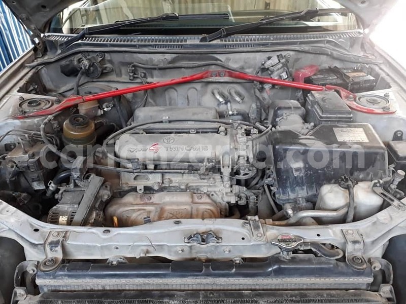 Big with watermark 49726401 2477782325584767 9049442710523478016 n