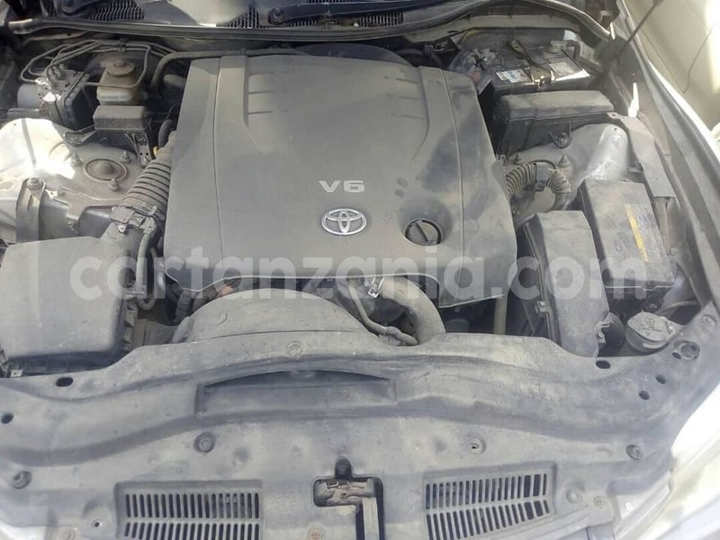 Big with watermark 48429982 2477746642255002 8765475626283958272 n