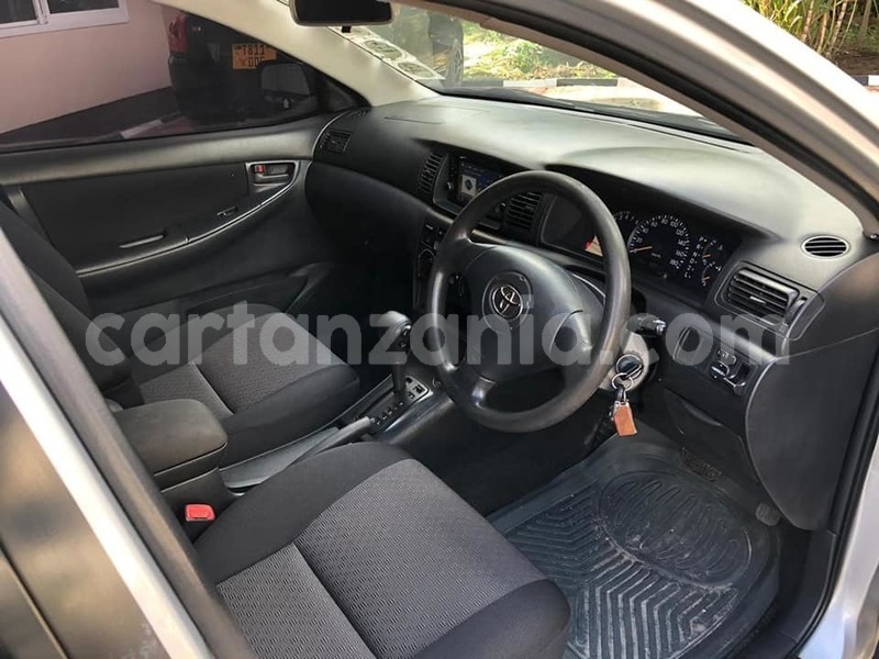 Big with watermark 49165525 2331659573571263 4930491188722532352 n