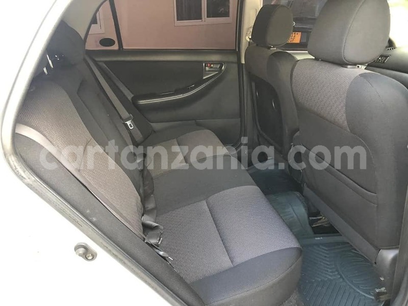 Big with watermark 49678655 2331659543571266 7885810197430534144 n