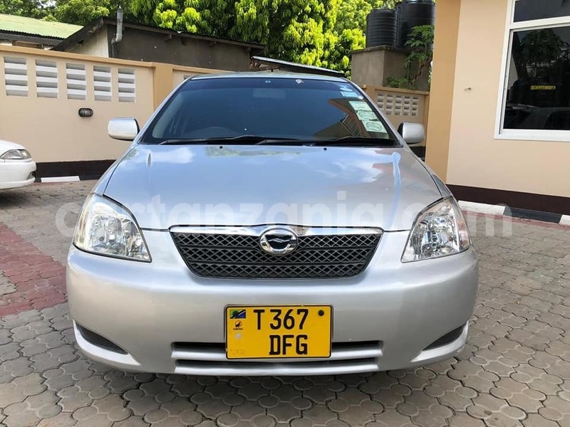 Big with watermark 49251703 2331659330237954 4760157115090206720 n