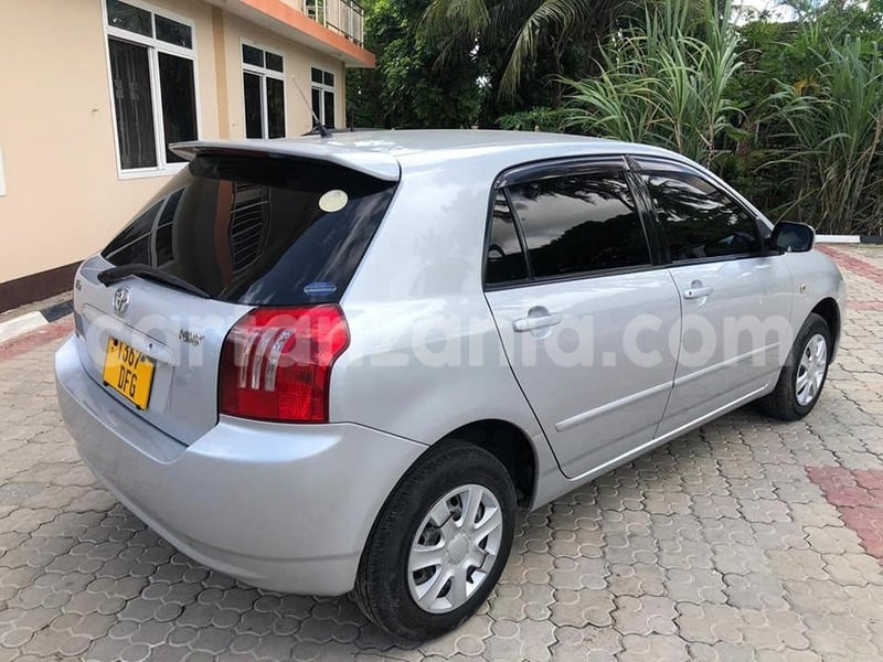 Big with watermark 49089390 2331659280237959 7341882662753140736 n