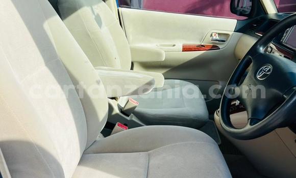 Buy Used Toyota Spacio Blue Car in Dar es Salaam in Dar es Salaam Buy Used Toyota Spacio Blue Car in Dar es Salaam in Dar es Salaam