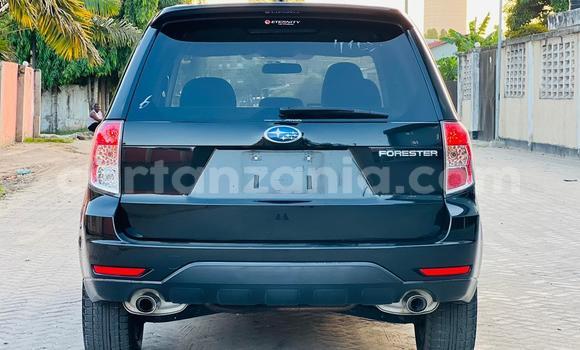 Nunua Imported Subaru Forester Nyeusi Gari ndani ya Dar es Salaam nchini Dar es Salaam Nunua Imported Subaru Forester Nyeusi Gari ndani ya Dar es Salaam nchini Dar es Salaam