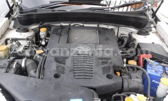 Nunua Imported Subaru Forester Nyeupe Gari ndani ya Dar es Salaam nchini Dar es Salaam Nunua Imported Subaru Forester Nyeupe Gari ndani ya Dar es Salaam nchini Dar es Salaam