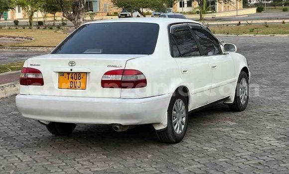 Buy Used Toyota Corolla White Car in Dar es Salaam in Dar es Salaam Buy Used Toyota Corolla White Car in Dar es Salaam in Dar es Salaam