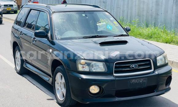 Nunua Imported Subaru Forester Nyeusi Gari ndani ya Dar es Salaam nchini Dar es Salaam Nunua Imported Subaru Forester Nyeusi Gari ndani ya Dar es Salaam nchini Dar es Salaam