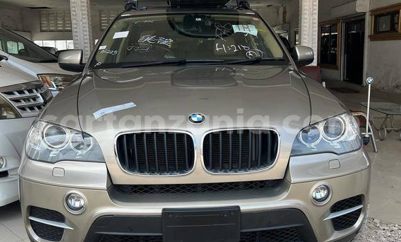 Buy Import BMW X5 Brown Car in Dar es Salaam in Dar es Salaam