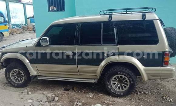 Buy Used Mitsubishi Pajero Other Car in Dar es Salaam in Dar es Salaam Buy Used Mitsubishi Pajero Other Car in Dar es Salaam in Dar es Salaam