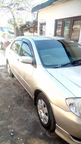 Big with watermark 50236769 189094755381203 7274295657223946240 n