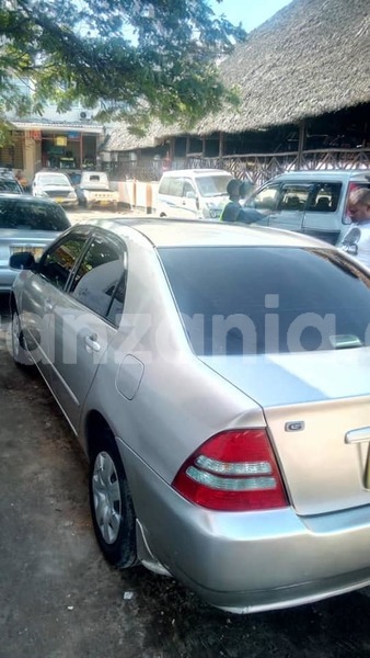 Big with watermark 49783406 189094768714535 7902165613282328576 n