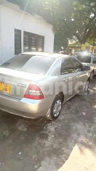 Big with watermark 49895384 189094732047872 8425153288311144448 n