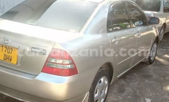 Nunua Ilio tumika Toyota Corolla Fedha Gari ndani ya Dar es Salaam nchini Dar es Salaam Nunua Ilio tumika Toyota Corolla Fedha Gari ndani ya Dar es Salaam nchini Dar es Salaam