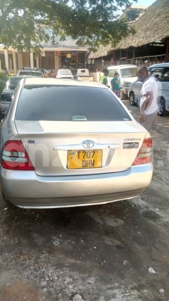 Big with watermark 49946884 189094712047874 8060602889497739264 n