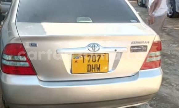 Nunua Ilio tumika Toyota Corolla Fedha Gari ndani ya Dar es Salaam nchini Dar es Salaam Nunua Ilio tumika Toyota Corolla Fedha Gari ndani ya Dar es Salaam nchini Dar es Salaam