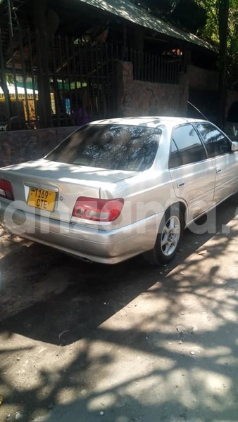 Big with watermark 49275524 188670648756947 7003193395900317696 n