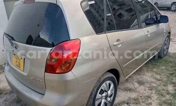 Nunua Ilio tumika Toyota Spacio Brown Gari ndani ya Dar es Salaam nchini Dar es Salaam Nunua Ilio tumika Toyota Spacio Brown Gari ndani ya Dar es Salaam nchini Dar es Salaam