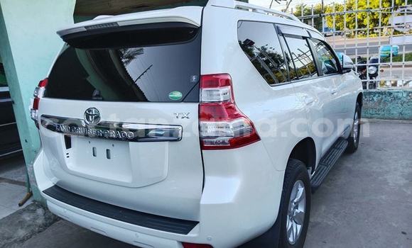 Buy Import Toyota Land Cruiser Prado White Car in Dar es Salaam in Dar es Salaam Buy Import Toyota Land Cruiser Prado White Car in Dar es Salaam in Dar es Salaam