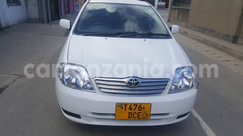 Big with watermark 49283484 187924648831547 6152819459322019840 n