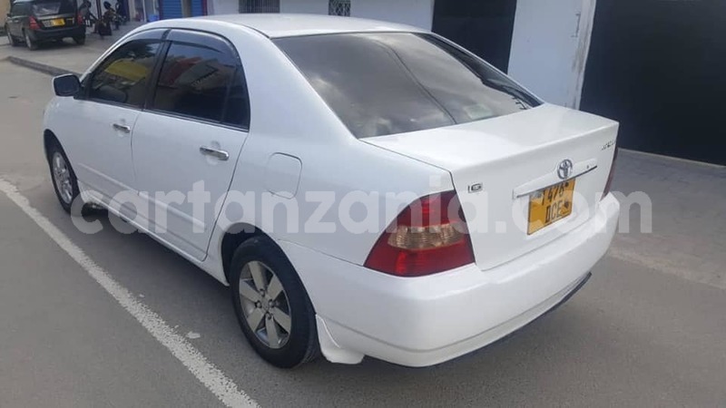 Big with watermark 50583729 187924722164873 2207397913498222592 n