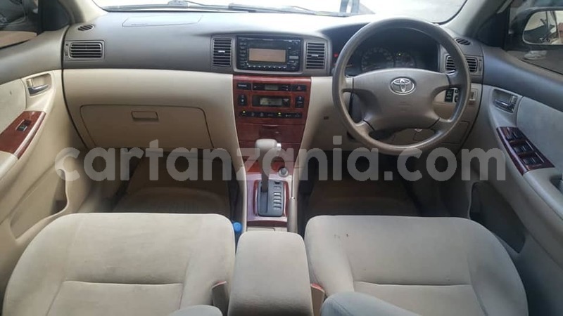 Big with watermark 49589679 187924665498212 1677333455215525888 n