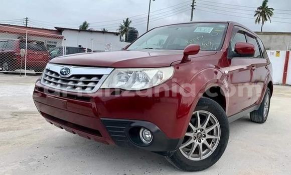 Buy Import Subaru Forester Red Car in Dar es Salaam in Dar es Salaam Buy Import Subaru Forester Red Car in Dar es Salaam in Dar es Salaam