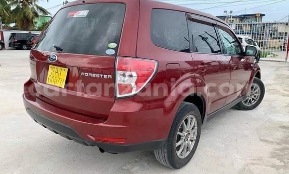 Buy Import Subaru Forester Red Car in Dar es Salaam in Dar es Salaam Buy Import Subaru Forester Red Car in Dar es Salaam in Dar es Salaam