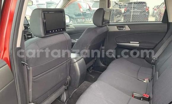 Buy Import Subaru Forester Red Car in Dar es Salaam in Dar es Salaam Buy Import Subaru Forester Red Car in Dar es Salaam in Dar es Salaam