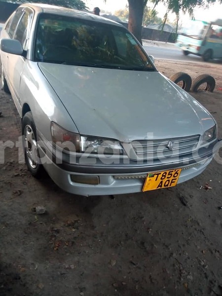 Big with watermark 49783446 187651835525495 2578059501018021888 n