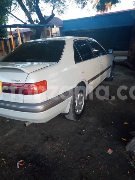 Big with watermark 49896671 187651792192166 1206609519224815616 n 1