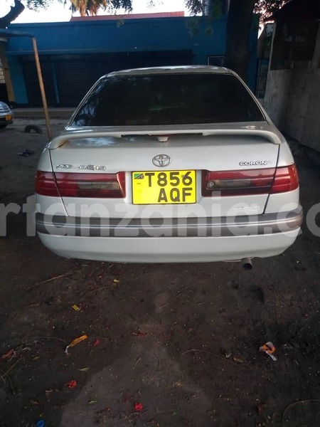 Big with watermark 50127131 187651805525498 1676100232665890816 n