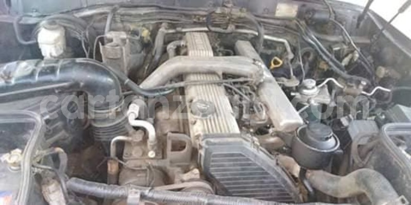 Big with watermark 49835358 187502982207047 7444172196580163584 n