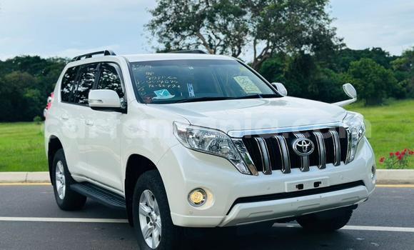 Buy Import Toyota Land Cruiser Prado White Car in Dar es Salaam in Dar es Salaam Buy Import Toyota Land Cruiser Prado White Car in Dar es Salaam in Dar es Salaam