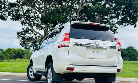 Buy Import Toyota Land Cruiser Prado White Car in Dar es Salaam in Dar es Salaam Buy Import Toyota Land Cruiser Prado White Car in Dar es Salaam in Dar es Salaam