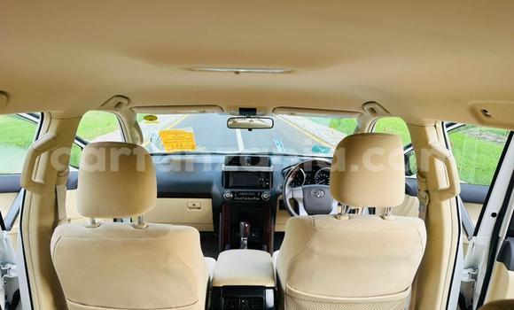 Buy Import Toyota Land Cruiser Prado White Car in Dar es Salaam in Dar es Salaam Buy Import Toyota Land Cruiser Prado White Car in Dar es Salaam in Dar es Salaam