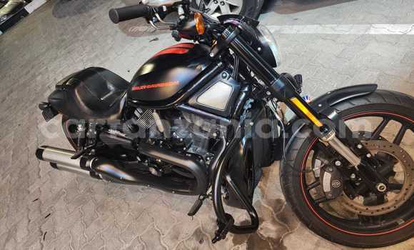 Buy Used Harley Davidson VRSC Black Bike in Arusha in Arusha