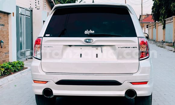 Nunua Imported Subaru Forester Nyeupe Gari ndani ya Dar es Salaam nchini Dar es Salaam Nunua Imported Subaru Forester Nyeupe Gari ndani ya Dar es Salaam nchini Dar es Salaam