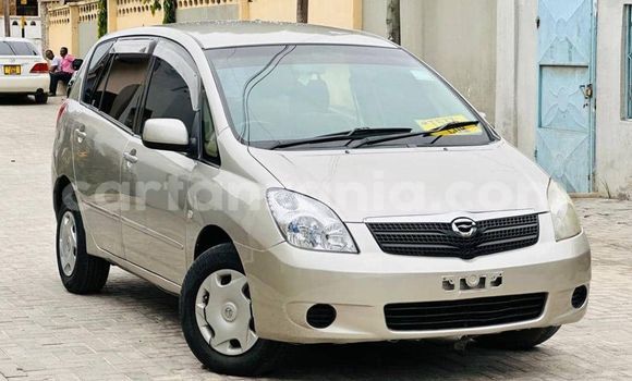 Buy Used Toyota Spacio Silver Car in Dar es Salaam in Dar es Salaam