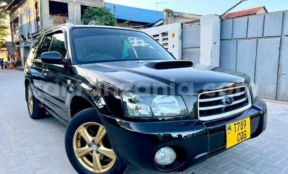 Buy Used Subaru Forester Black Car in Dar es Salaam in Dar es Salaam